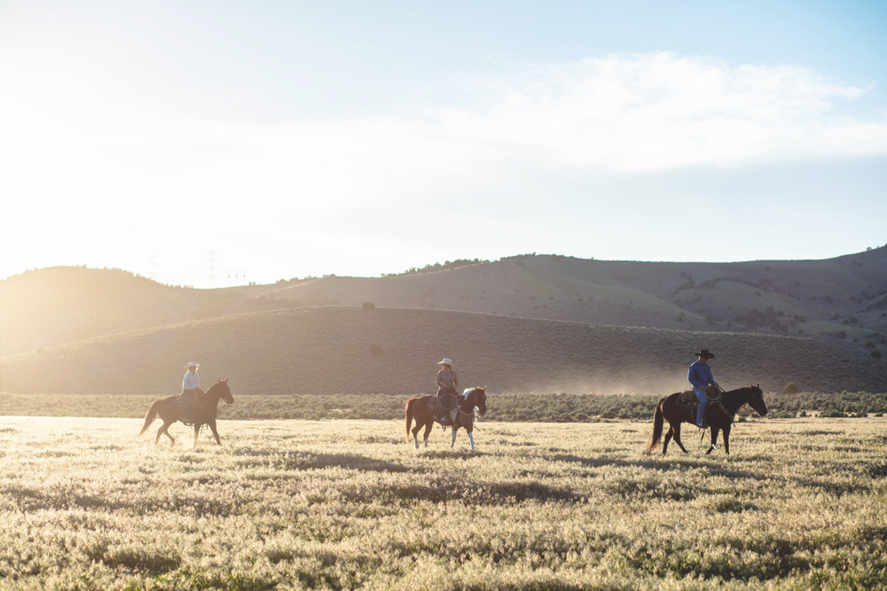 Three riders crossing a sunlit field