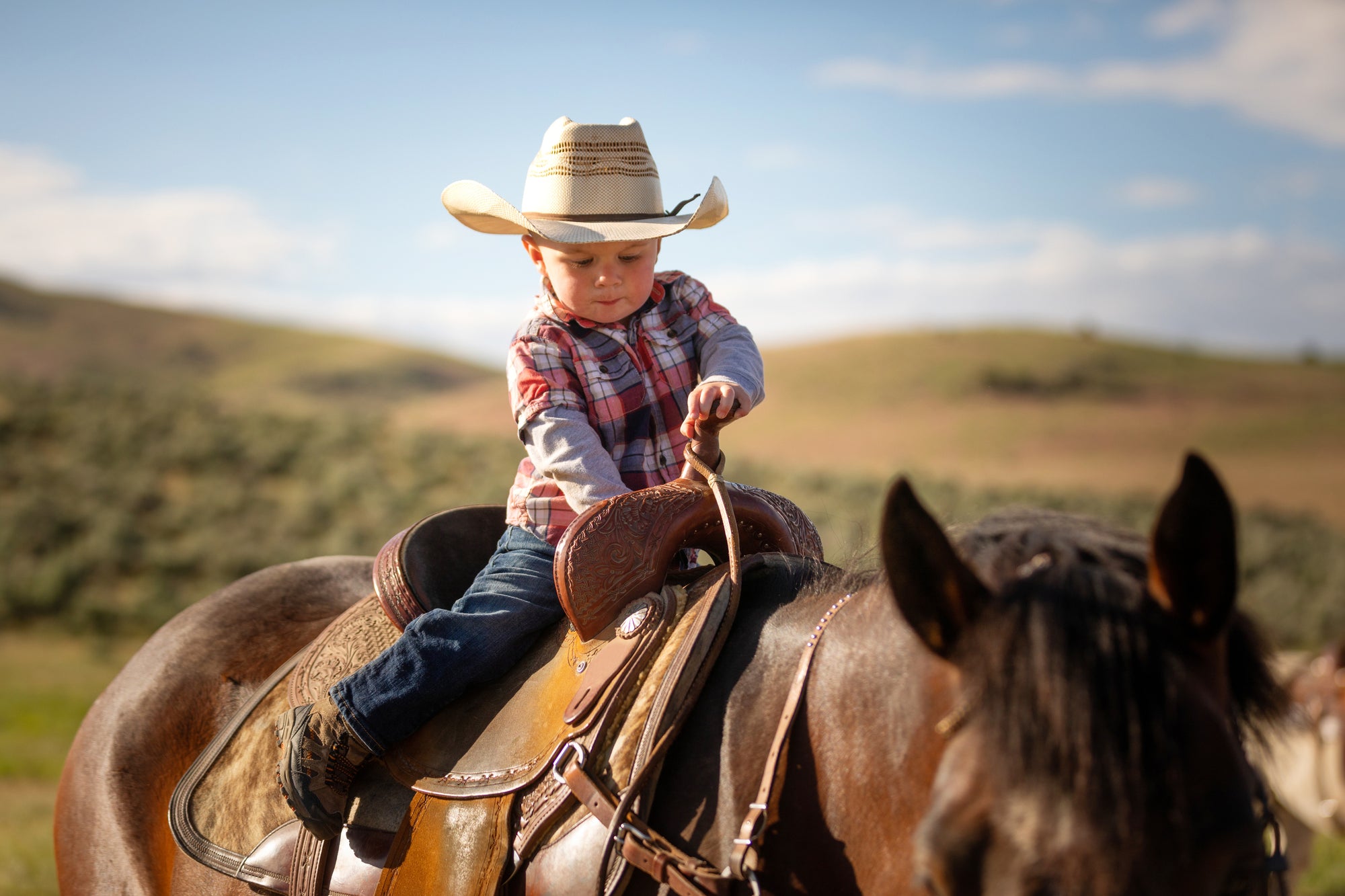 A young child in a cowboy hat sitting on a horse